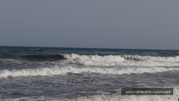 photo 788568