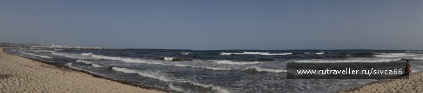 photo 788576