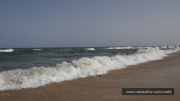 photo 788582