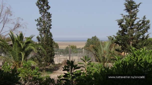photo 789178