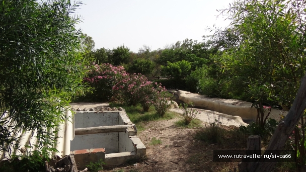 photo 789181