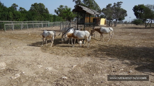 photo 789184