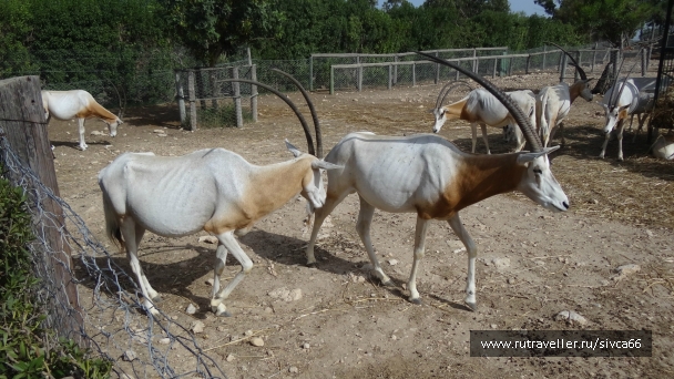 photo 789185