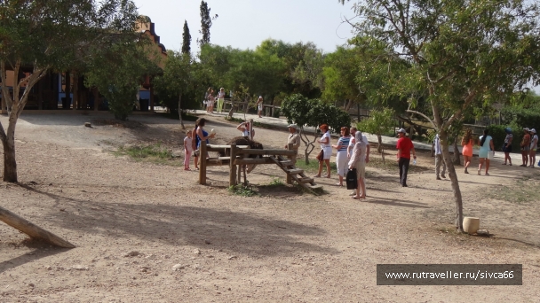 photo 789193