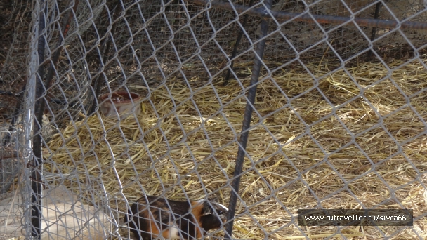 photo 789196