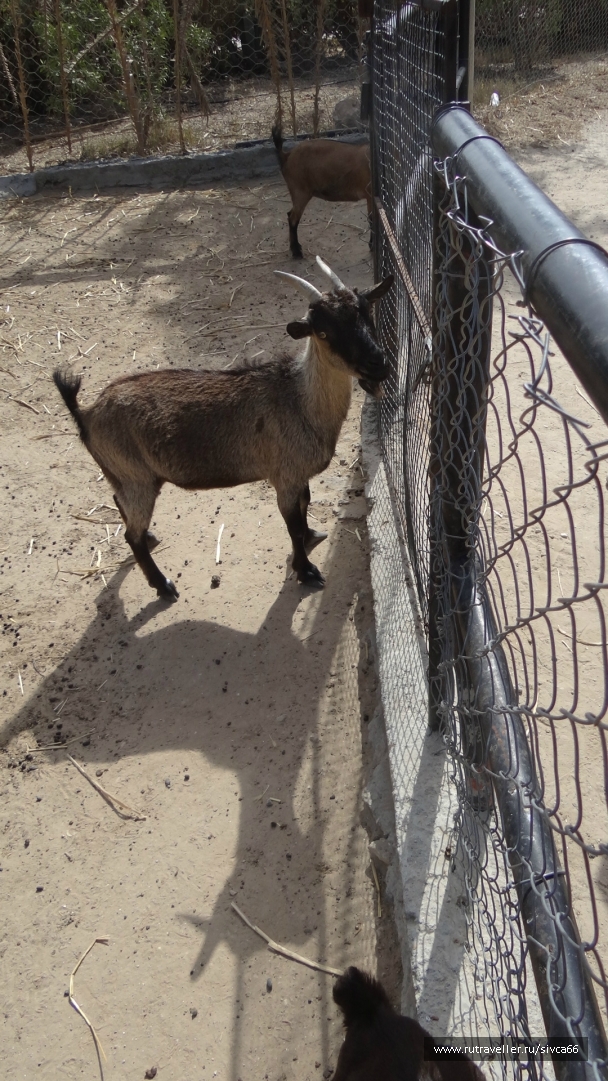 photo 789205