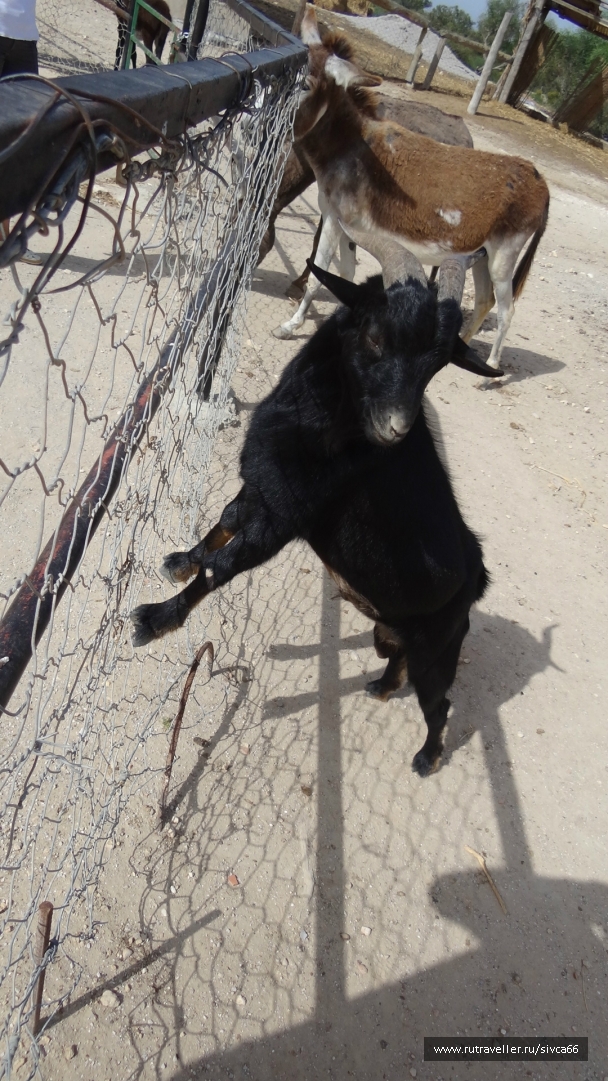 photo 789206
