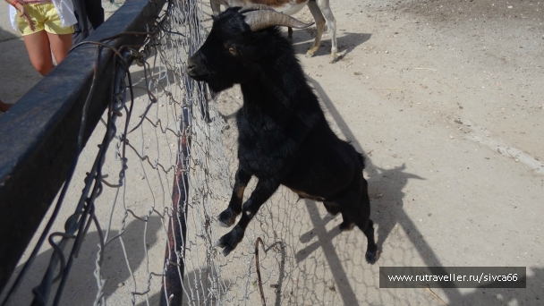 photo 789207