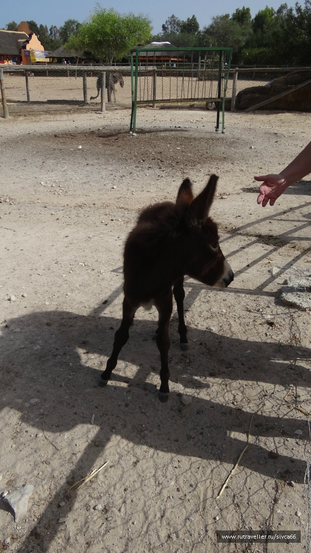 photo 789208