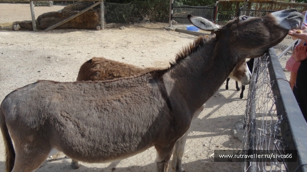 photo 789209