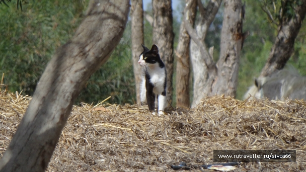 photo 789211