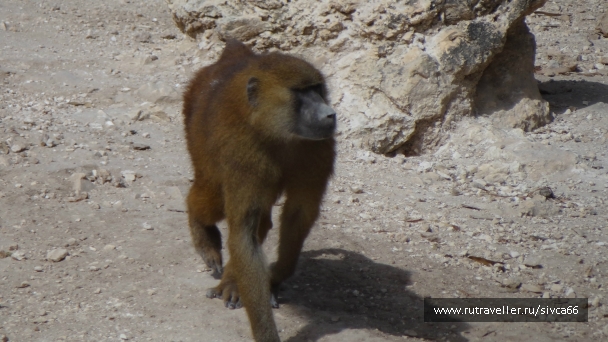 photo 789216