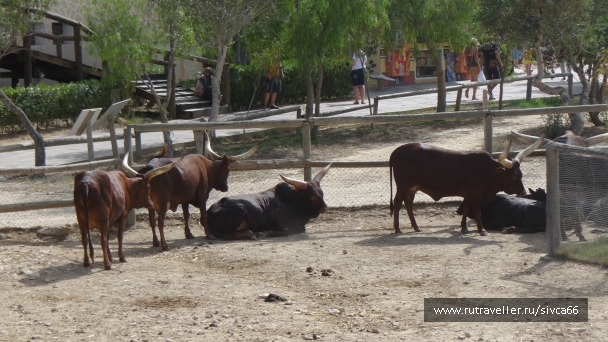 photo 789217