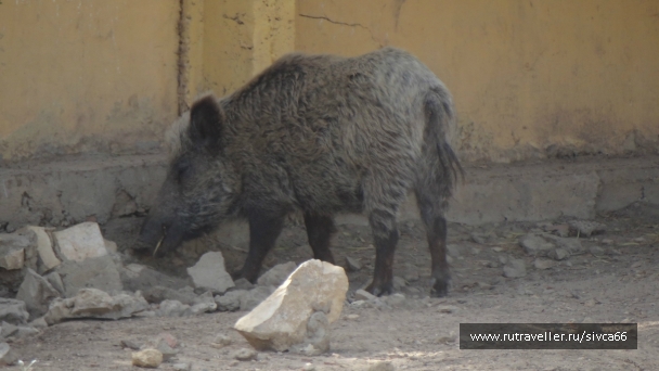 photo 789218