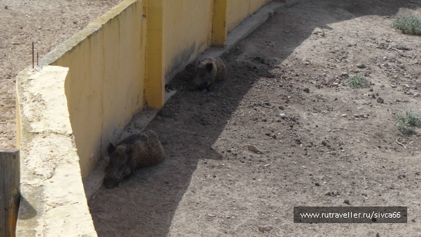 photo 789219