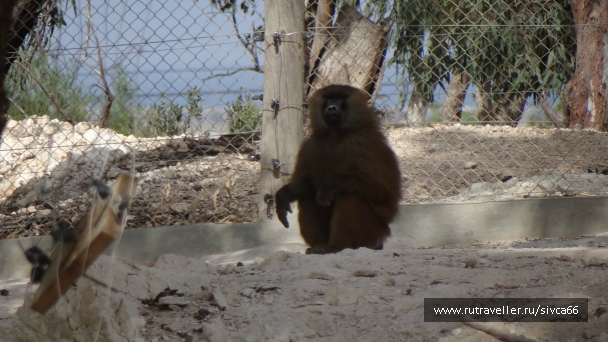 photo 789221