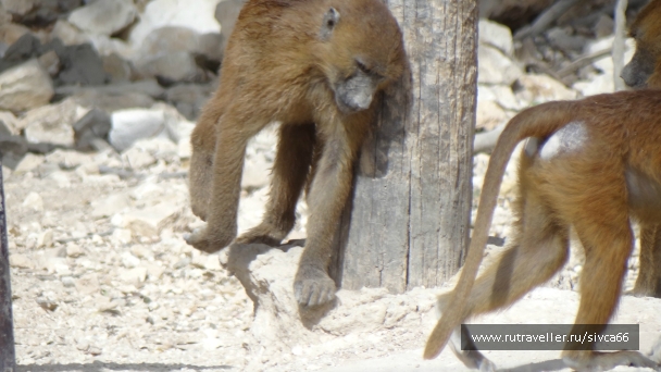 photo 789222