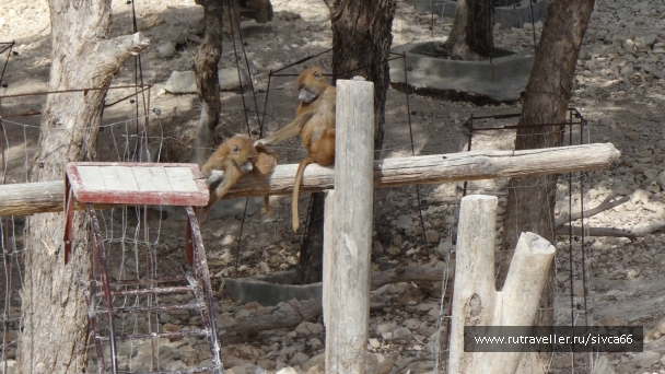 photo 789227