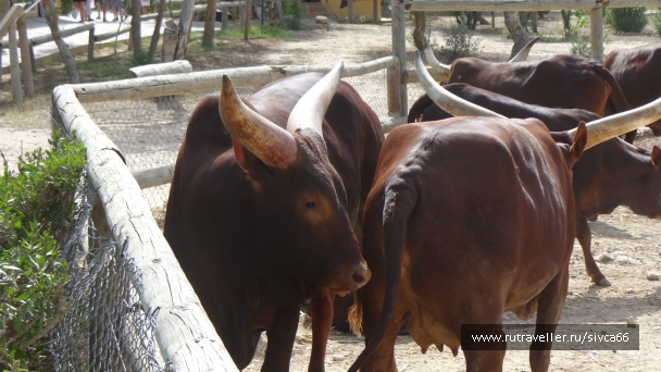 photo 789228