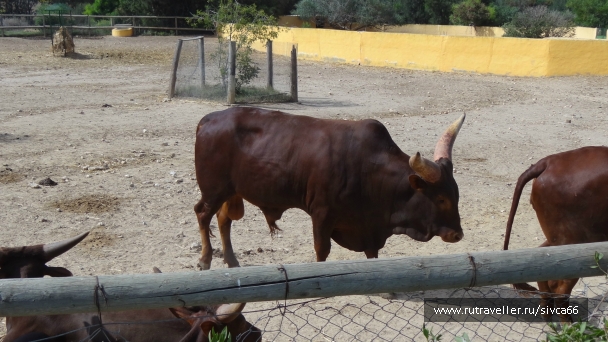 photo 789231