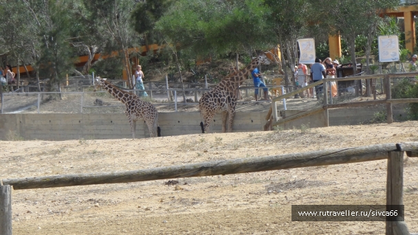 photo 789233
