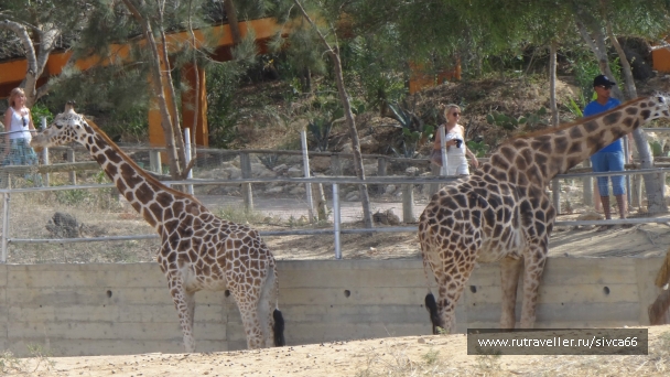 photo 789234