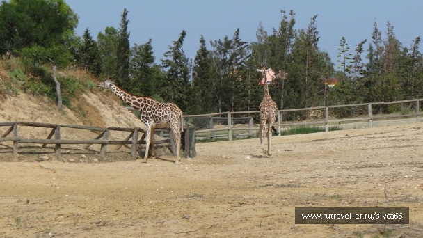 photo 789235