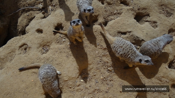 photo 789236