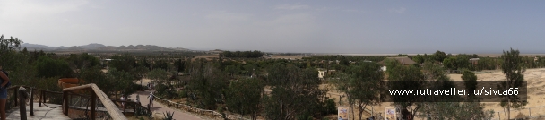 photo 789242
