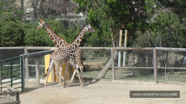 photo 789243