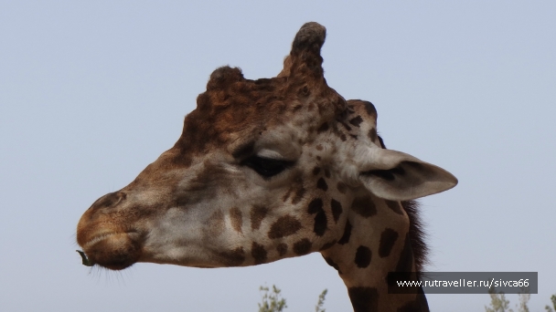 photo 789245