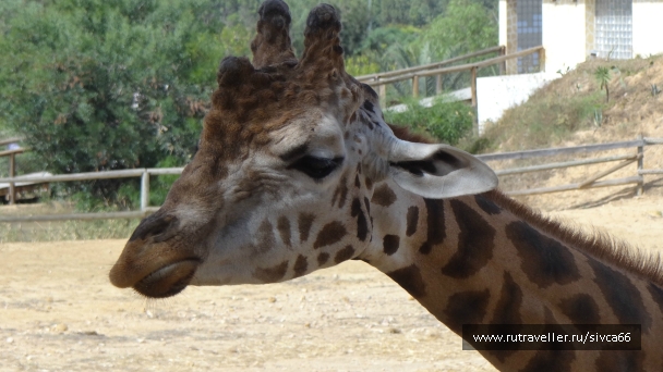 photo 789246