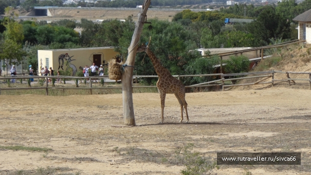 photo 789248