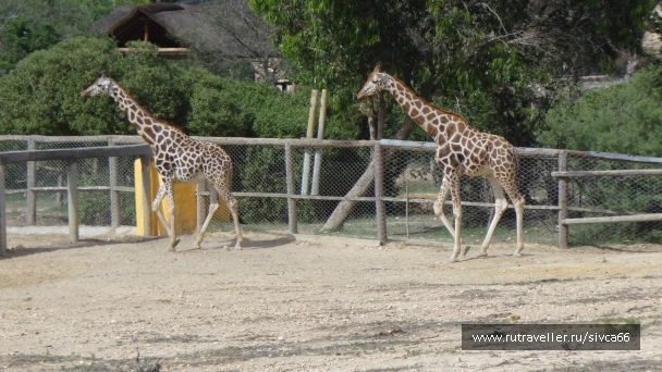 photo 789251
