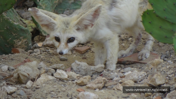 photo 789263
