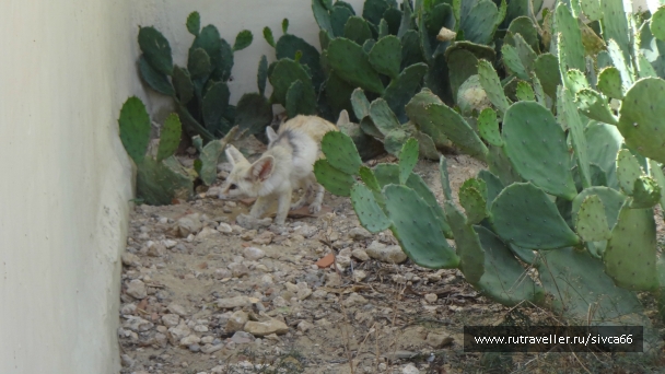 photo 789264