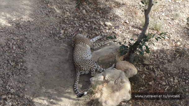 photo 789266