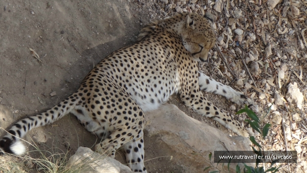 photo 789267