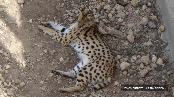 photo 789272