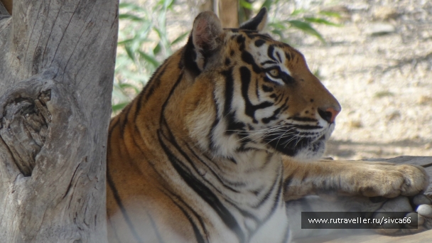 photo 789273
