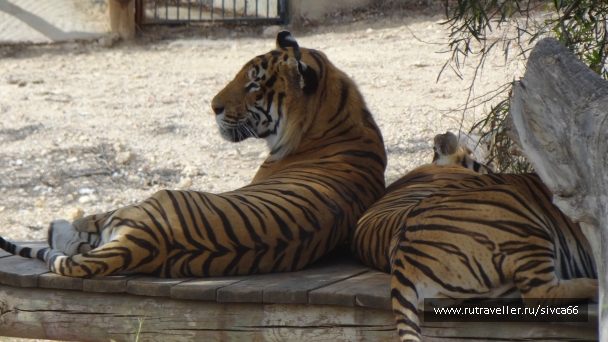 photo 789274