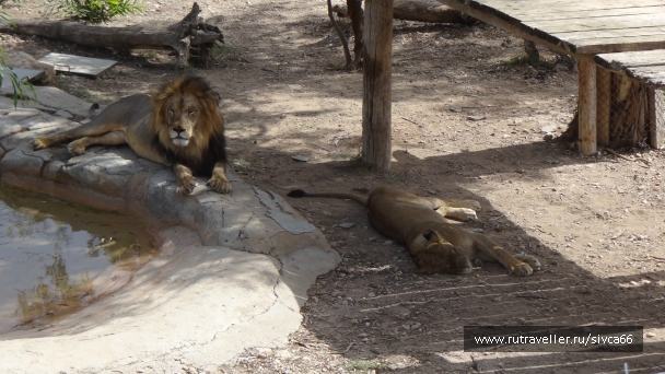 photo 789279
