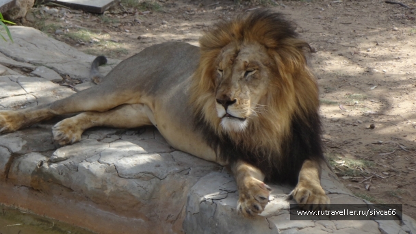 photo 789280