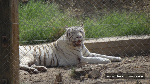photo 789281