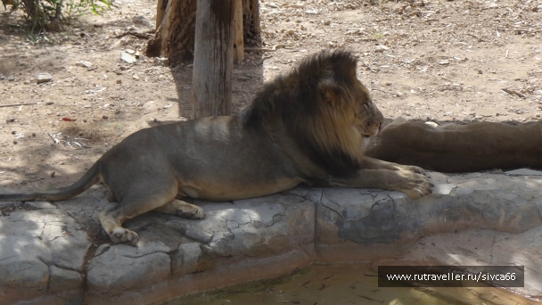 photo 789283