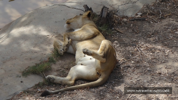 photo 789284