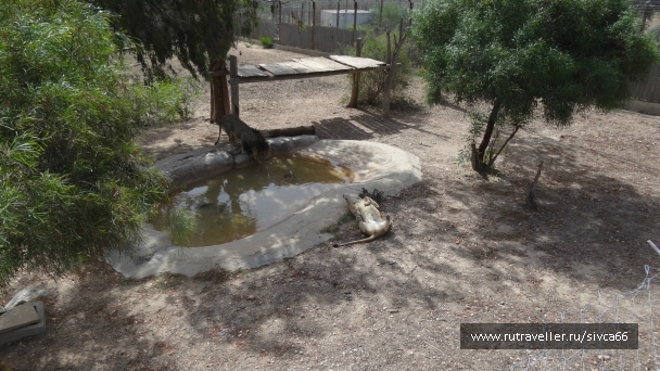 photo 789286