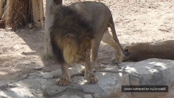 photo 789288