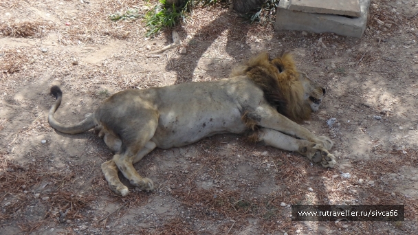 photo 789290