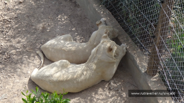 photo 789291